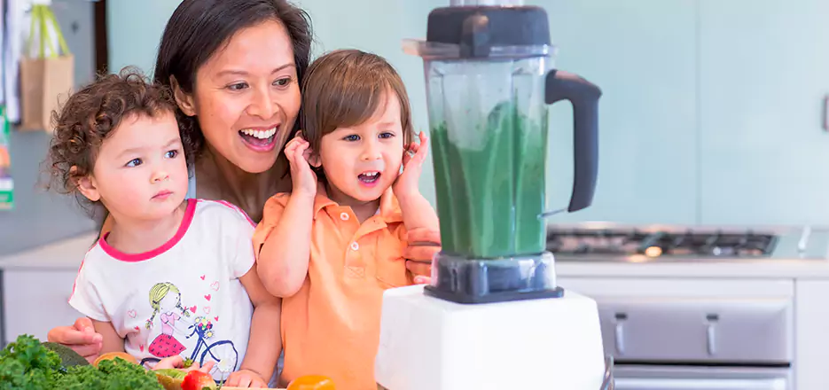 Juicer and Mixer Blender Repair in Quincy 
