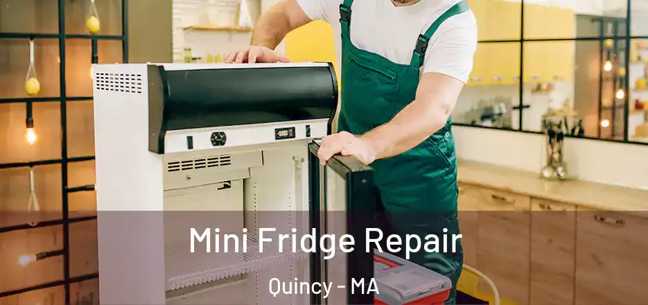 Mini Fridge Repair Quincy - MA